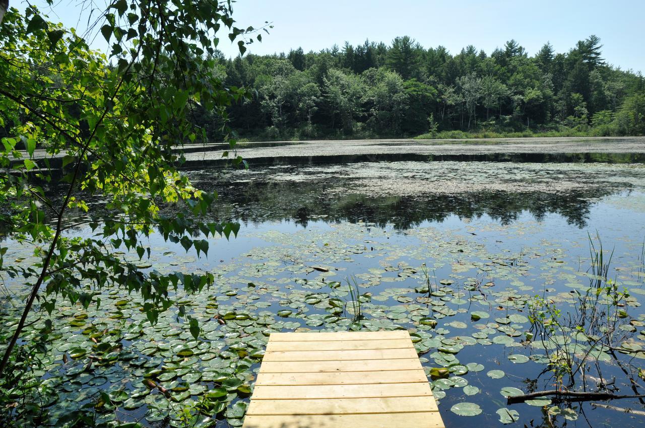 Tuxbury Pond Camping Resort Tiny House Clara Южен Хамптън Екстериор снимка